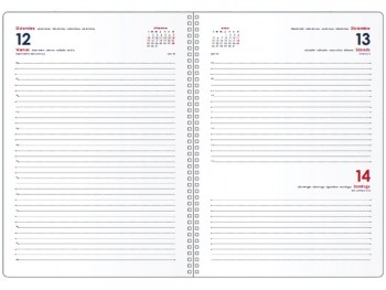 AGENDA SYNCRO DÍA PÁGINA