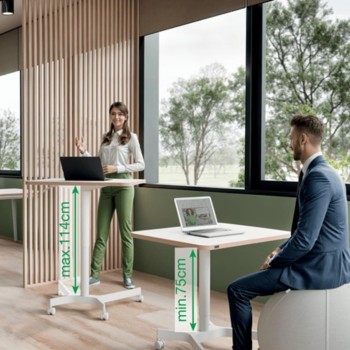 MESA ELEVABLE NEUMÁTICA COMPACTA LEITZ ERGO