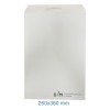 BOLSA BLANCA UAM 260X360